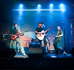 Image showing musician plays a guitar