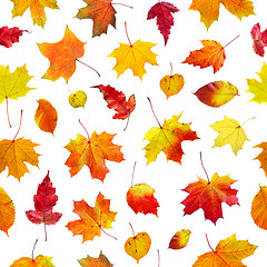 Image showing seamless  background autumn leaves