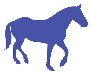 Image showing Vector horse