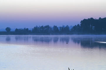 Image showing Mist water