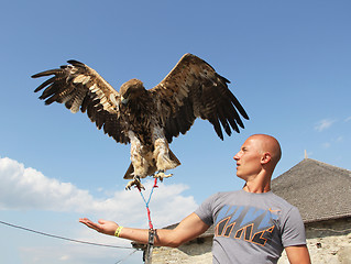 Image showing Man with eagle