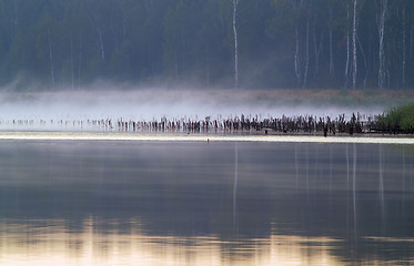 Image showing Mist pond