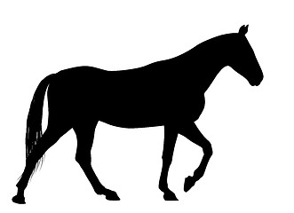 Image showing Vector horse