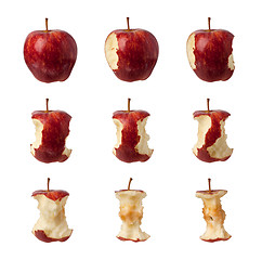 Image showing Steps for eating an apple