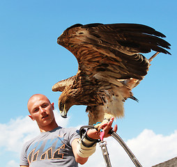 Image showing Man with eagle