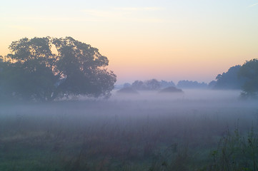Image showing Mist