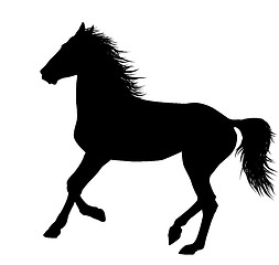 Image showing Vector horses