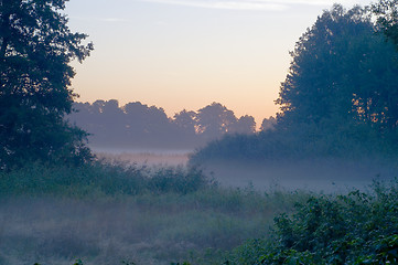 Image showing Foggy morning