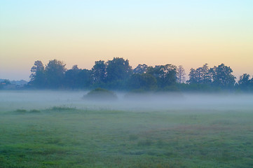 Image showing Foggy morning