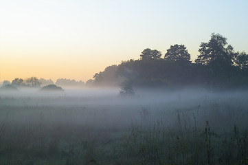 Image showing Foggy morning