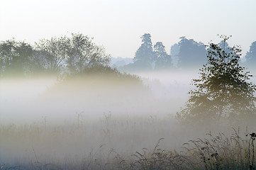 Image showing Fogg