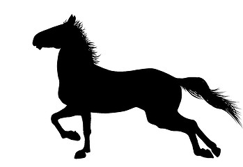 Image showing Vector horse