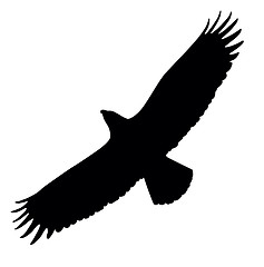 Image showing Eagle silhouette