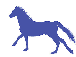 Image showing Vector horse