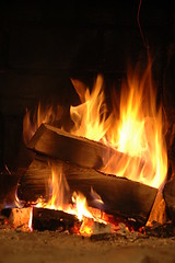 Image showing Burning logs