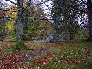 Image showing Old House in the Forest