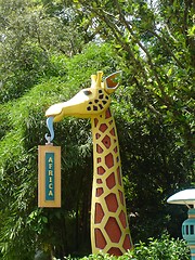 Image showing Giraffe in Africa