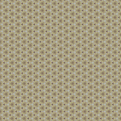 Image showing vintage shabby background with classy patterns