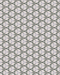 Image showing beautiful white pattern