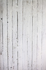 Image showing Weathered white wood