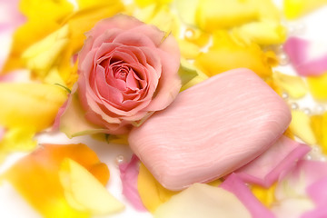 Image showing Pink cosmetics