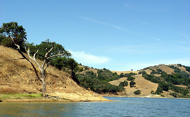 Image showing California hills