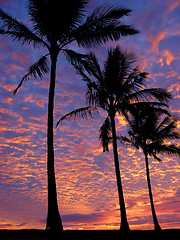 Image showing Beach at sunset