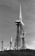 Image showing Wind Power