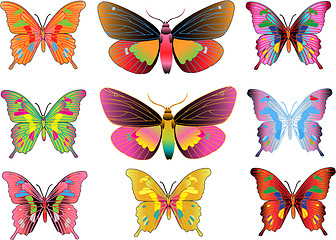 Image showing set of different multicolored butterflies - vector