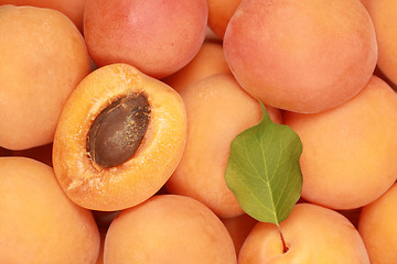 Image showing Apricots