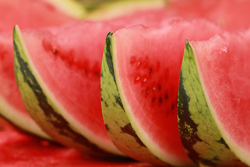 Image showing Arranged slices of watermelon