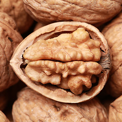 Image showing Walnuts