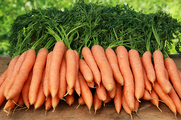 Image showing Fresh carrots