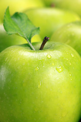 Image showing Green apples