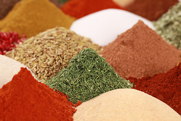 Image showing Spices and herbs