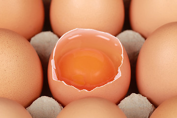 Image showing Brown eggs