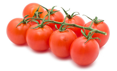 Image showing Tomato