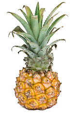 Image showing Pineapple