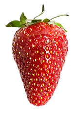 Image showing Fresh strawberry