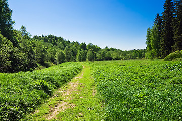 Image showing Meadow