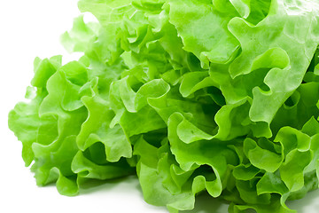 Image showing Lettuce