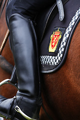 Image showing Police horse