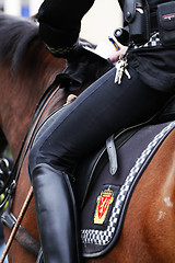 Image showing Police horse