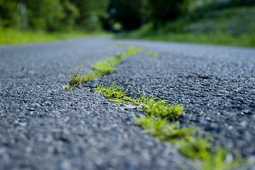 Image showing Cracked road