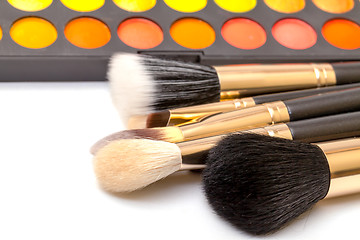 Image showing Set of Multicolored Eyeshadows with Brushes