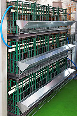 Image showing Chicken cages