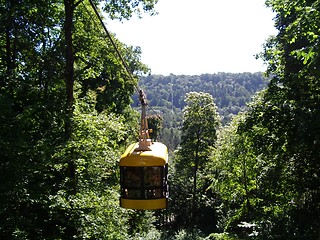 Image showing forest and train