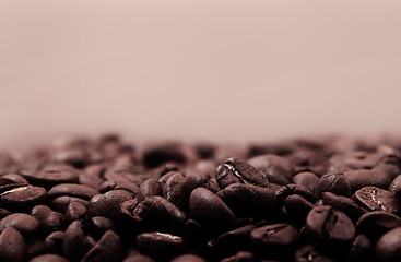 Image showing Coffee beans sepia