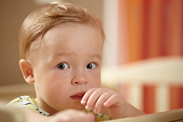 Image showing Little boy, fear look