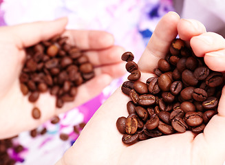 Image showing Coffee beans in hands